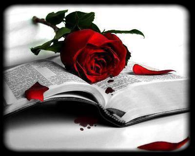 Visit� Mes site et lachez Vous Commontair